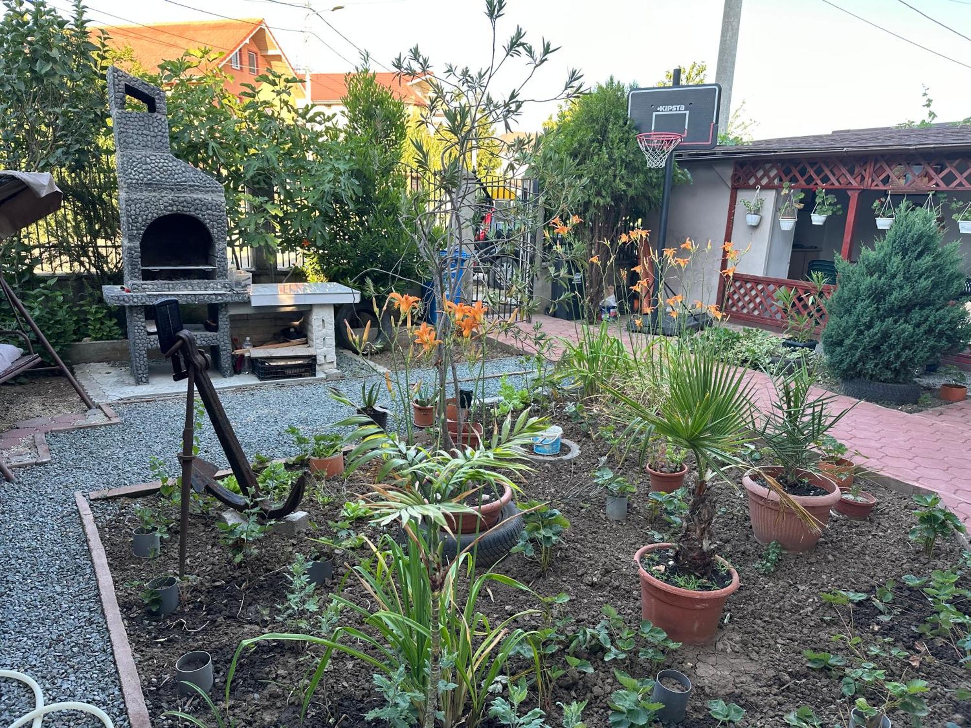 Apartament Casa Vio Parter Eforie Nord Zewnętrze zdjęcie